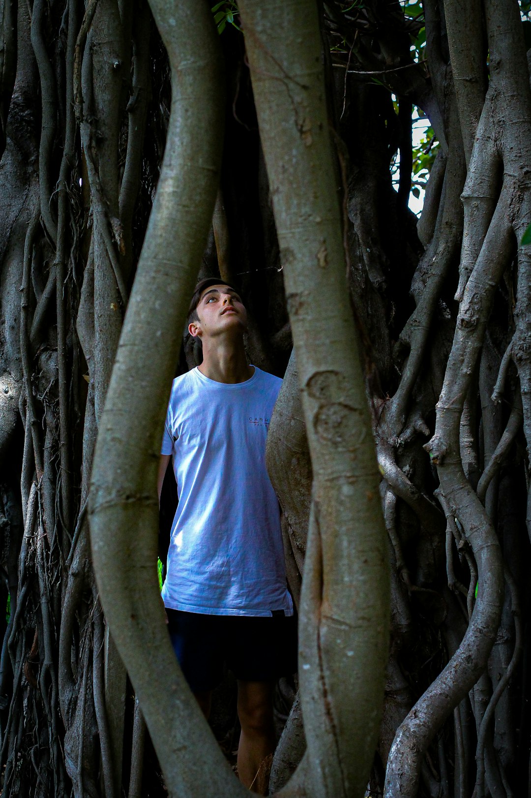 Forest photo spot Sydney Mona Vale