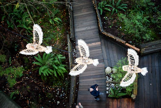 Visitors using multilingual echosafari audioguides while walking through a vibrant bird sanctuary.