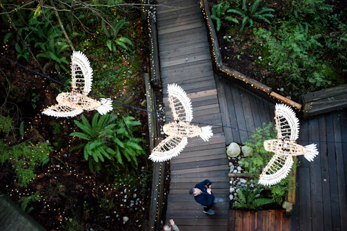 Visitors using multilingual echosafari audioguides while walking through a vibrant bird sanctuary.