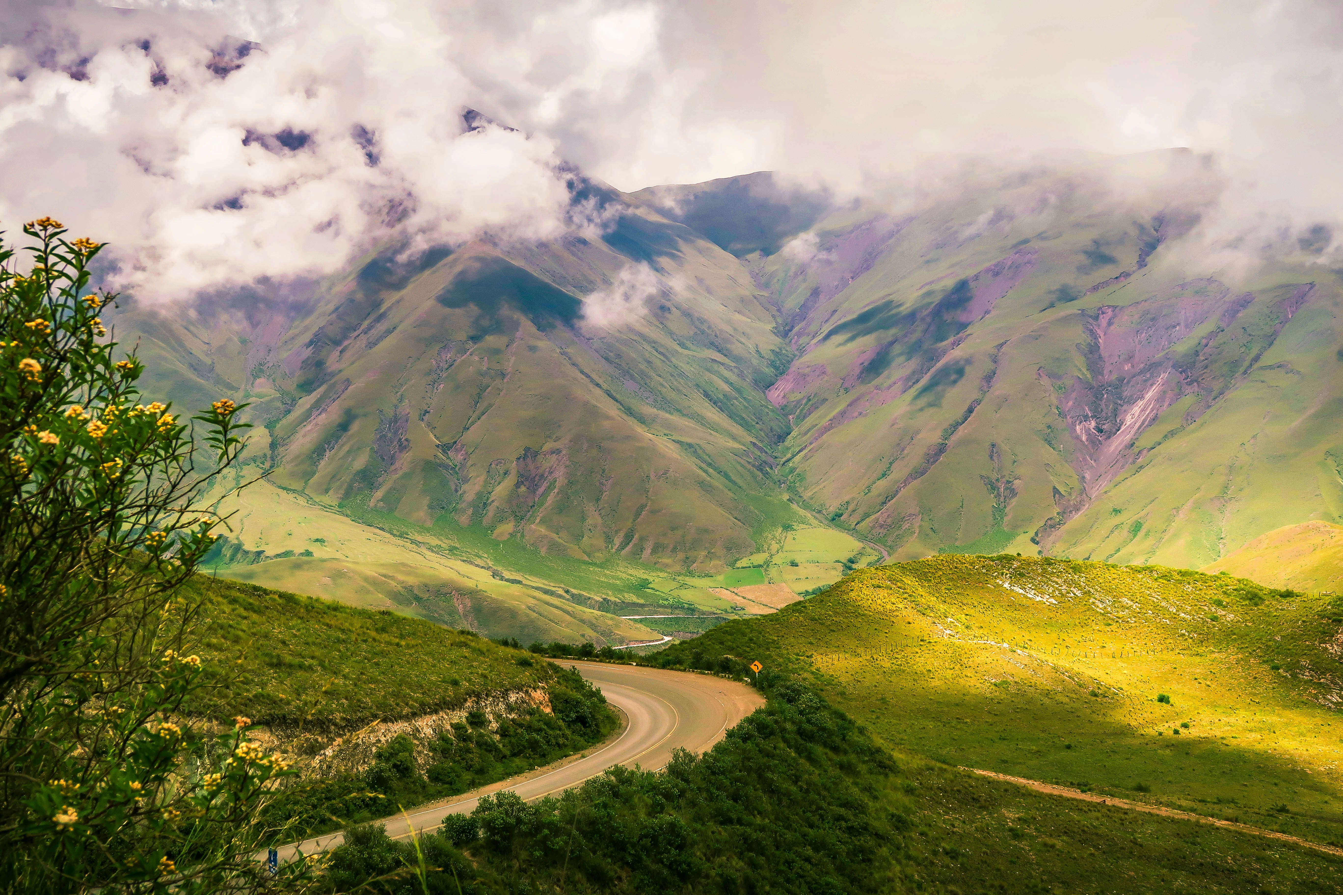 Photo by argentinanatural