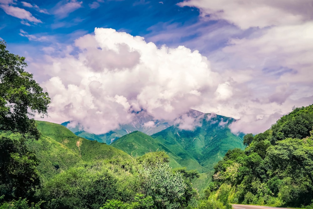 green trees on mountain under white clouds and blue sky during daytime