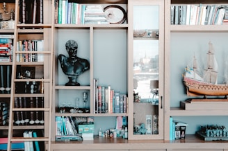 A wooden bookshelf filled with a variety of books, a black bust sculpture, a model ship, and other decorative items. There is a ladder leaning against the shelf. The shelf is neatly organized with books of different colors and sizes, and glass door sections reveal some collectibles inside.