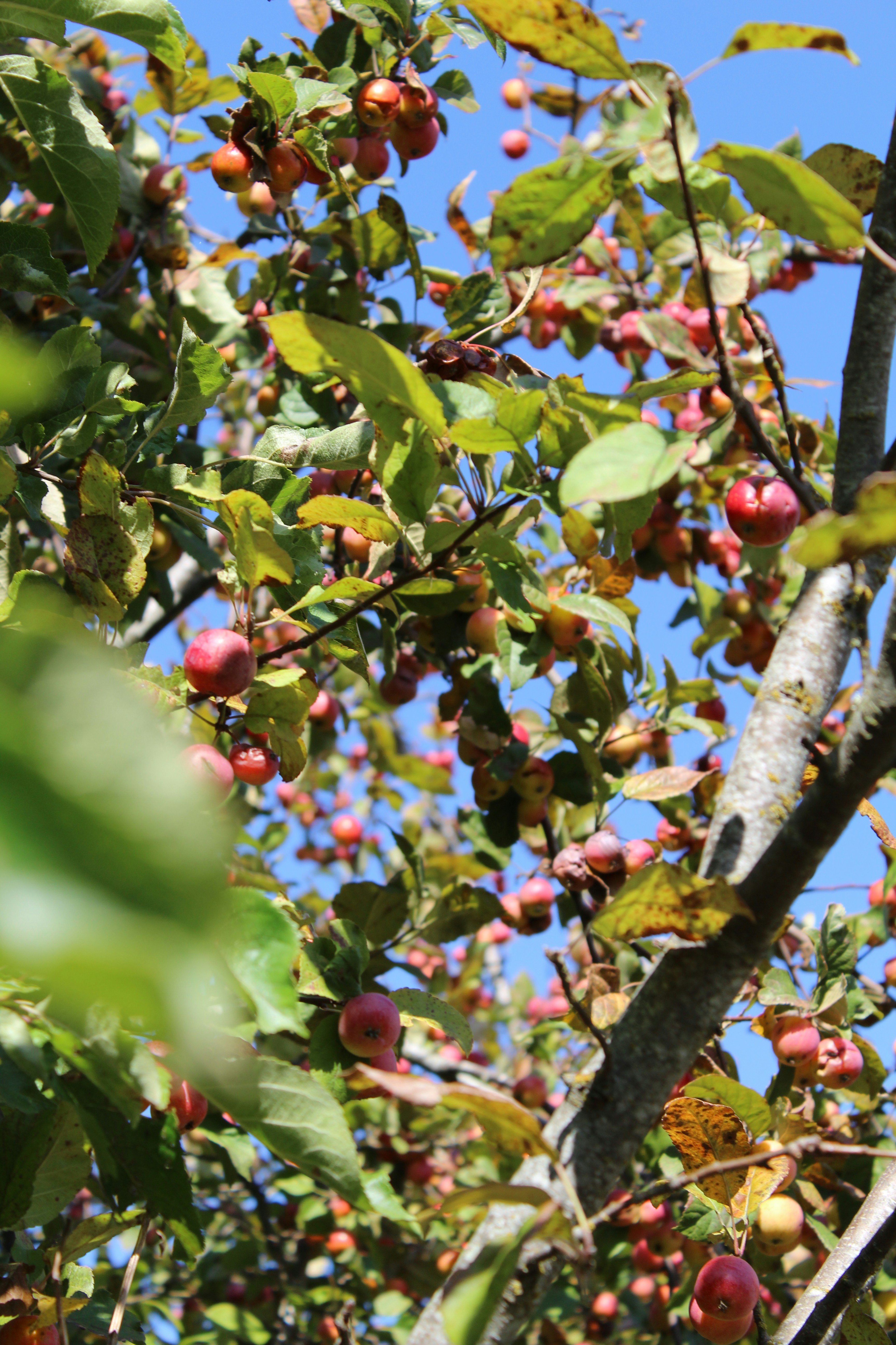 Photo by colefreeman