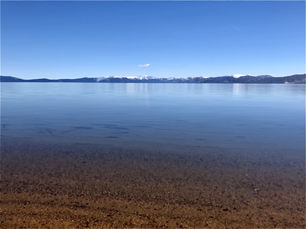 calm sea under blue sky during daytime