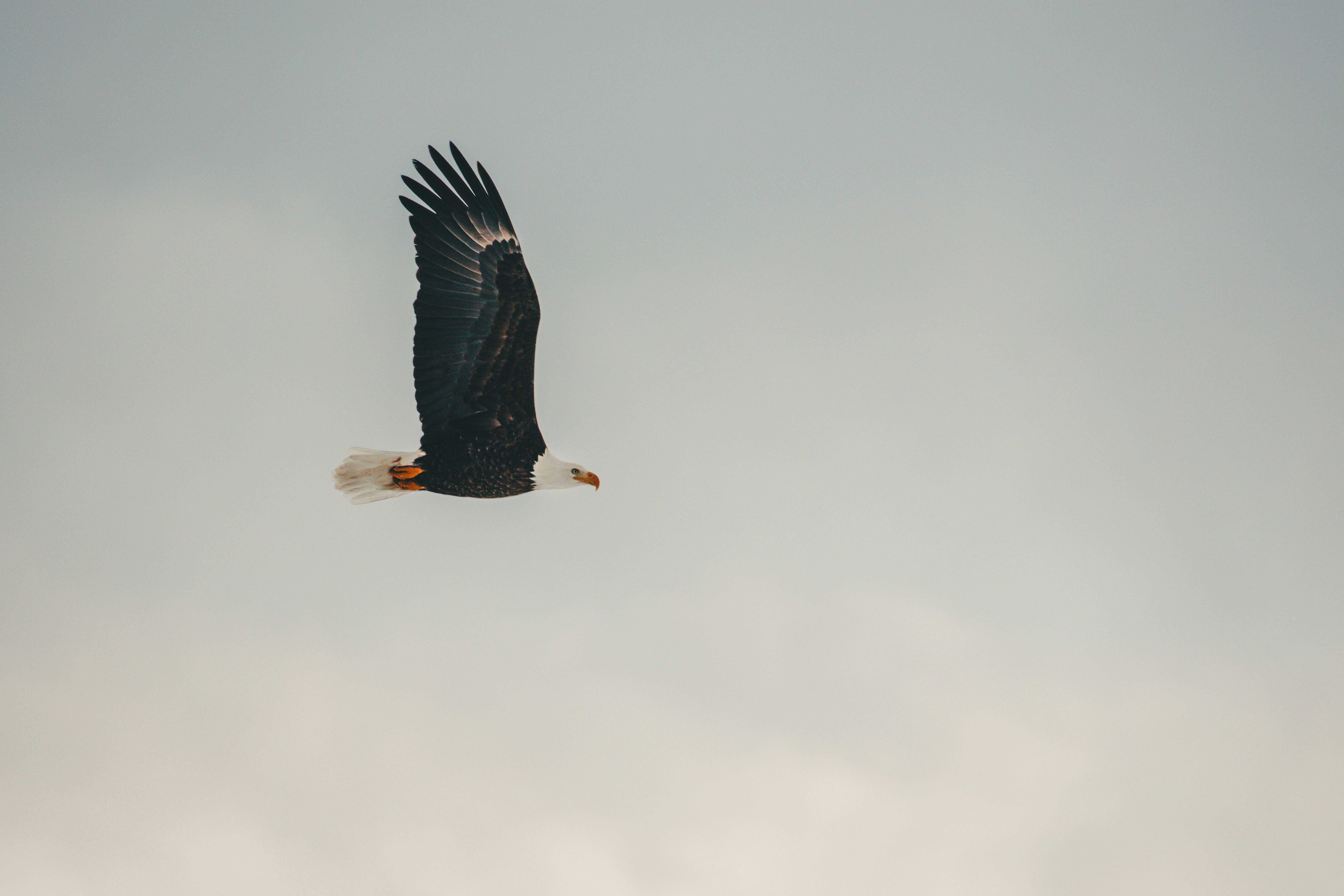 Photo by worldsbetweenlines