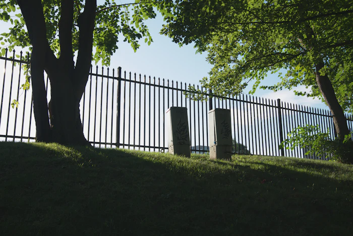Black metal fence along a shaded lawn with large trees