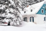 brown house covered with snow near trees during daytime