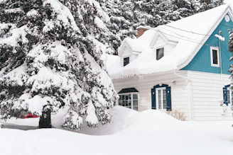 brown house covered with snow near trees during daytime