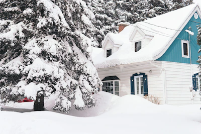 brown house covered with snow near trees during daytime