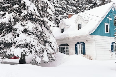 brown house covered with snow near trees during daytime