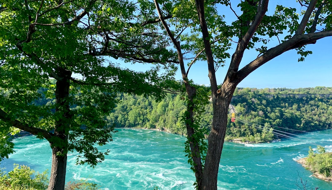 Nature reserve photo spot 3850 Niagara River Pky Toronto Zoo