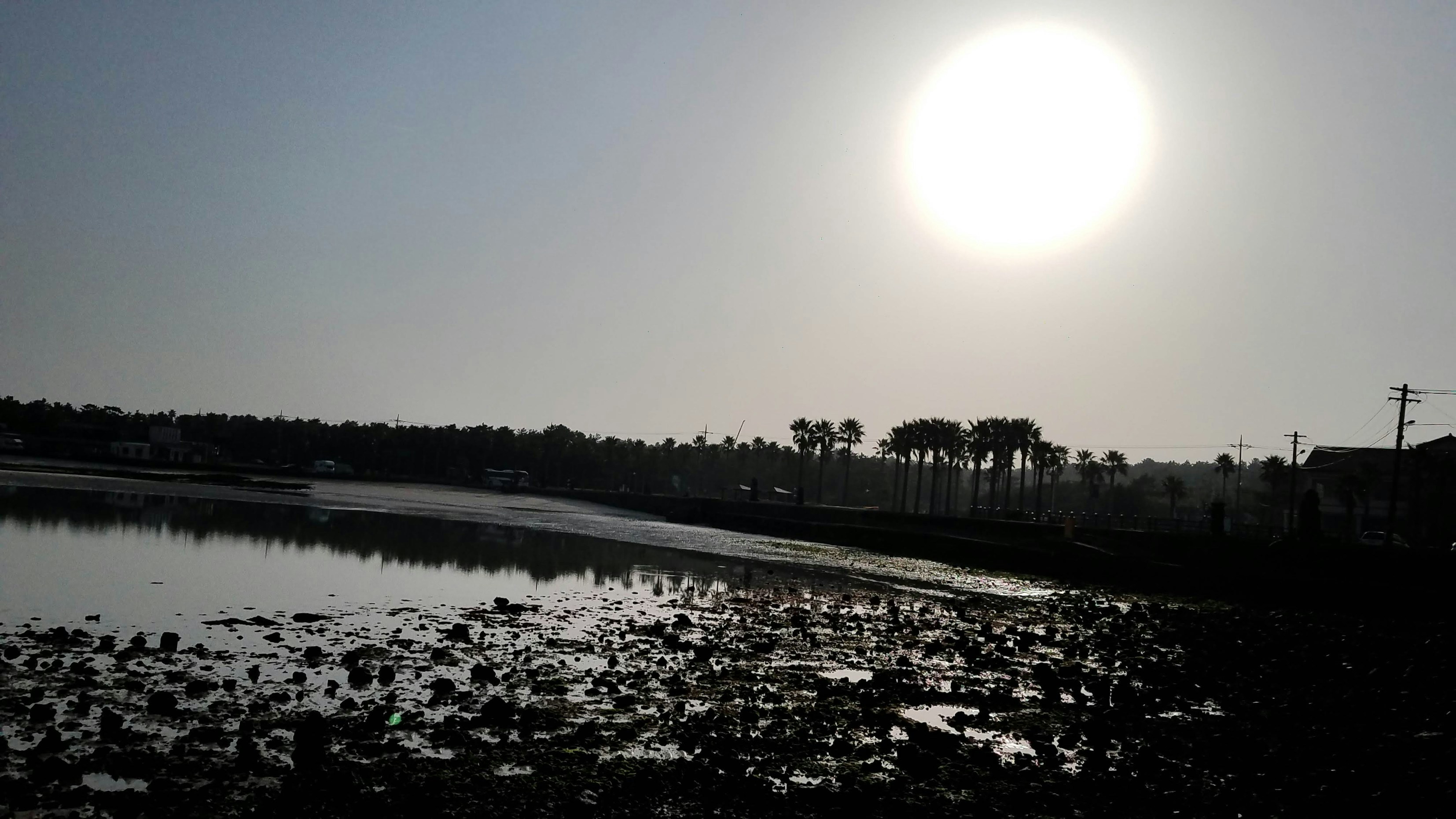 Photo by bbanurag1991