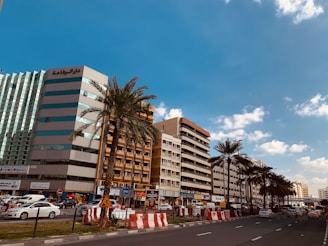 white and brown concrete building near green palm trees during daytime