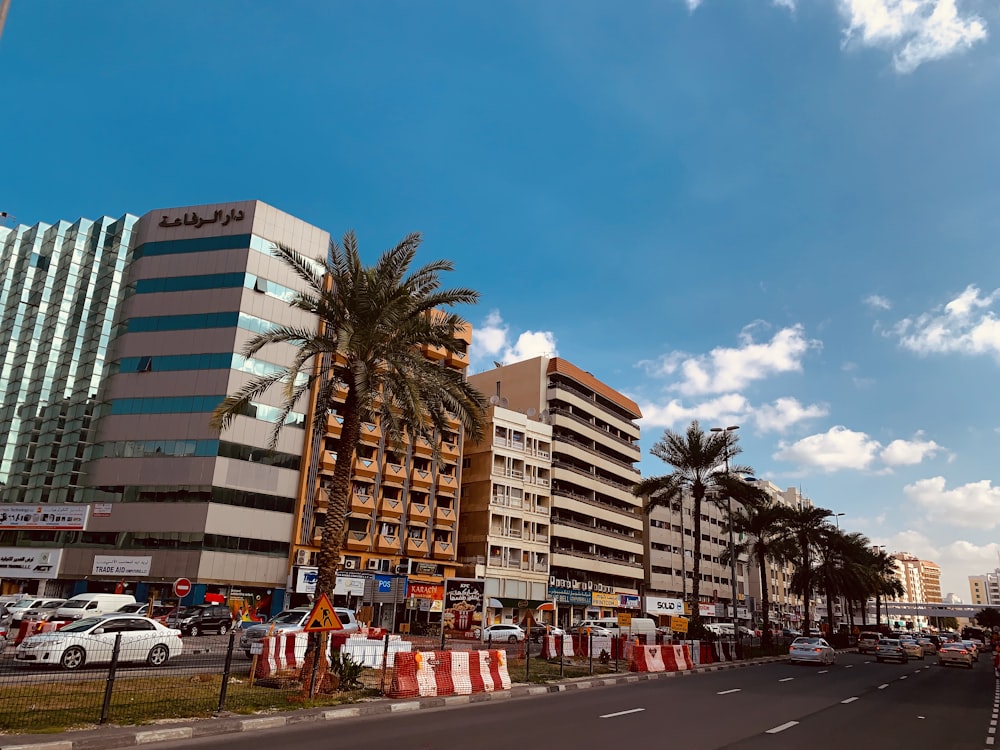 white and brown concrete building near green palm trees during daytime