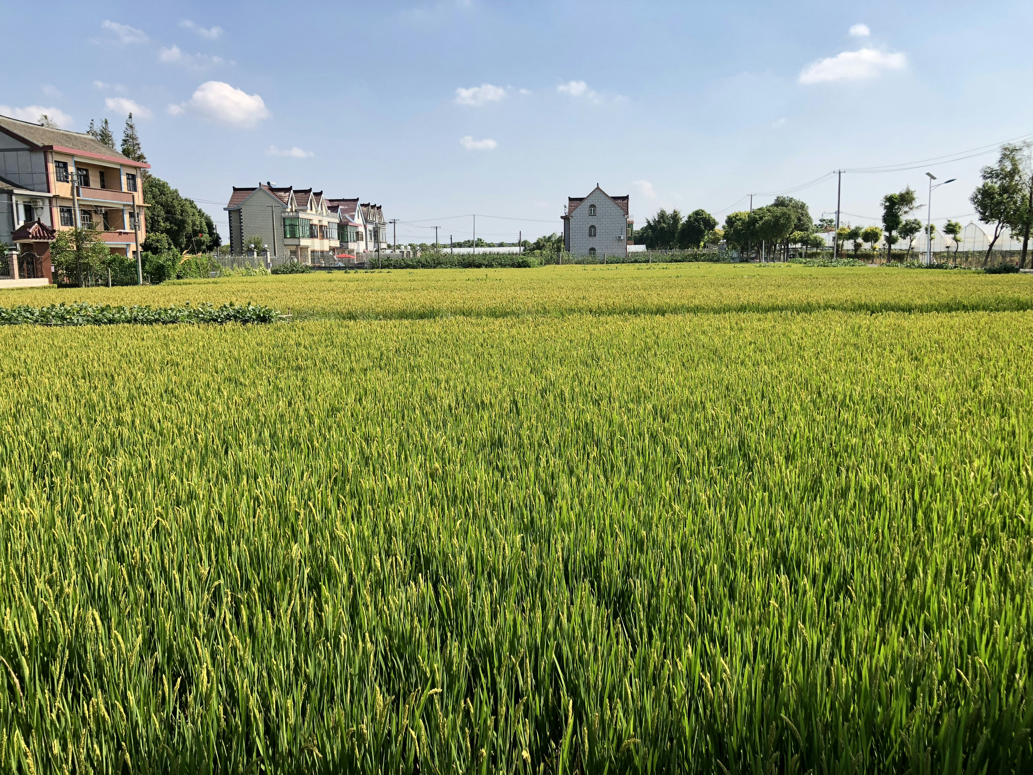 Fertilizer production facility