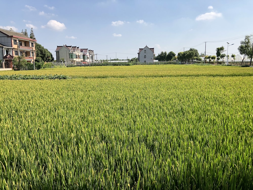 green grass field near white concrete building during daytime