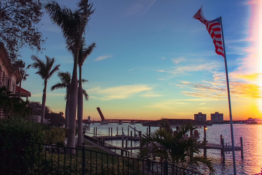 palm tree near body of water during sunset