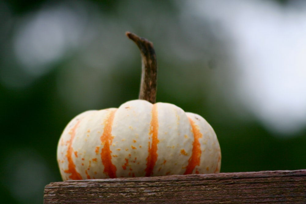 orange pumpkin on brown wooden table