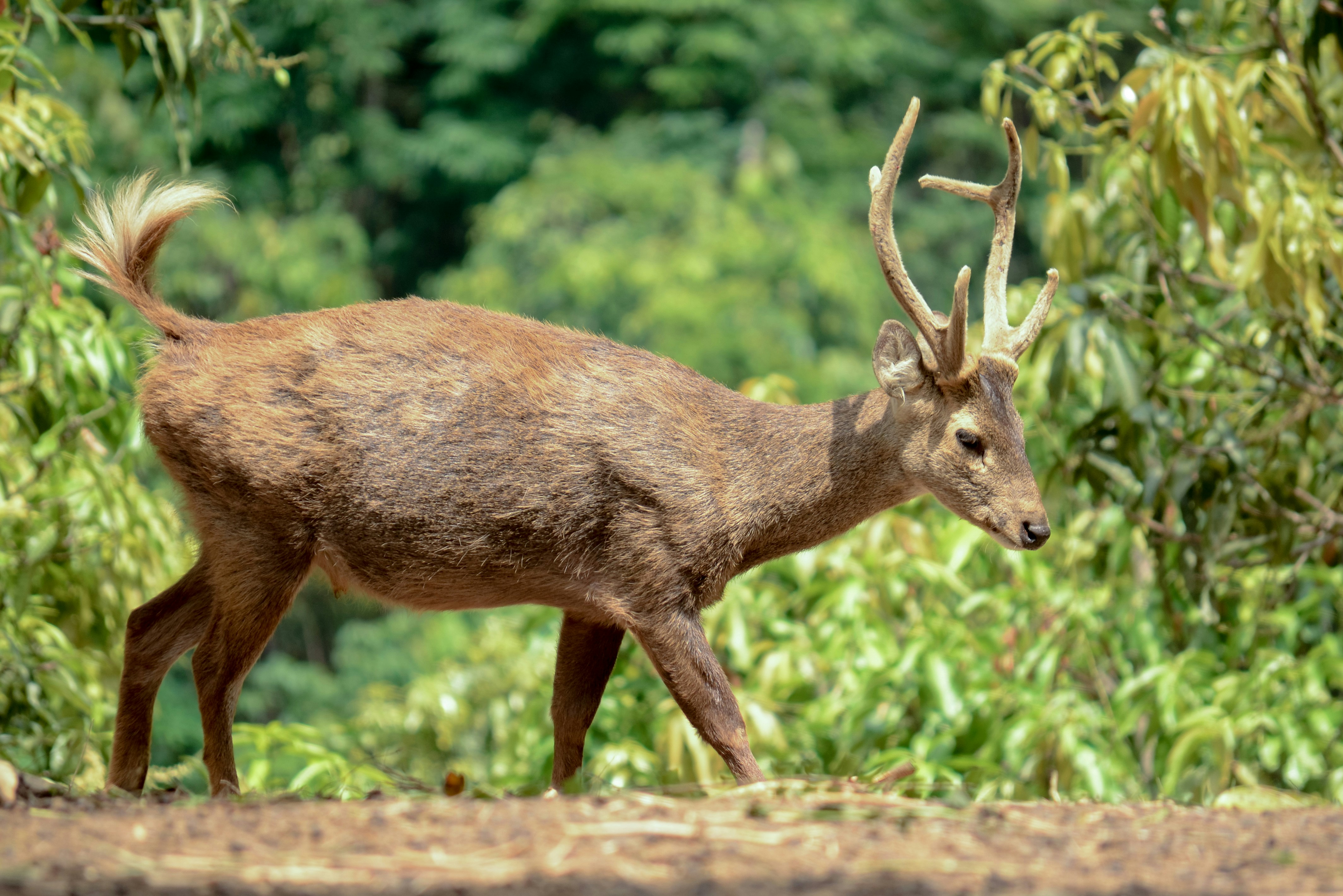 Photo by subagusindra