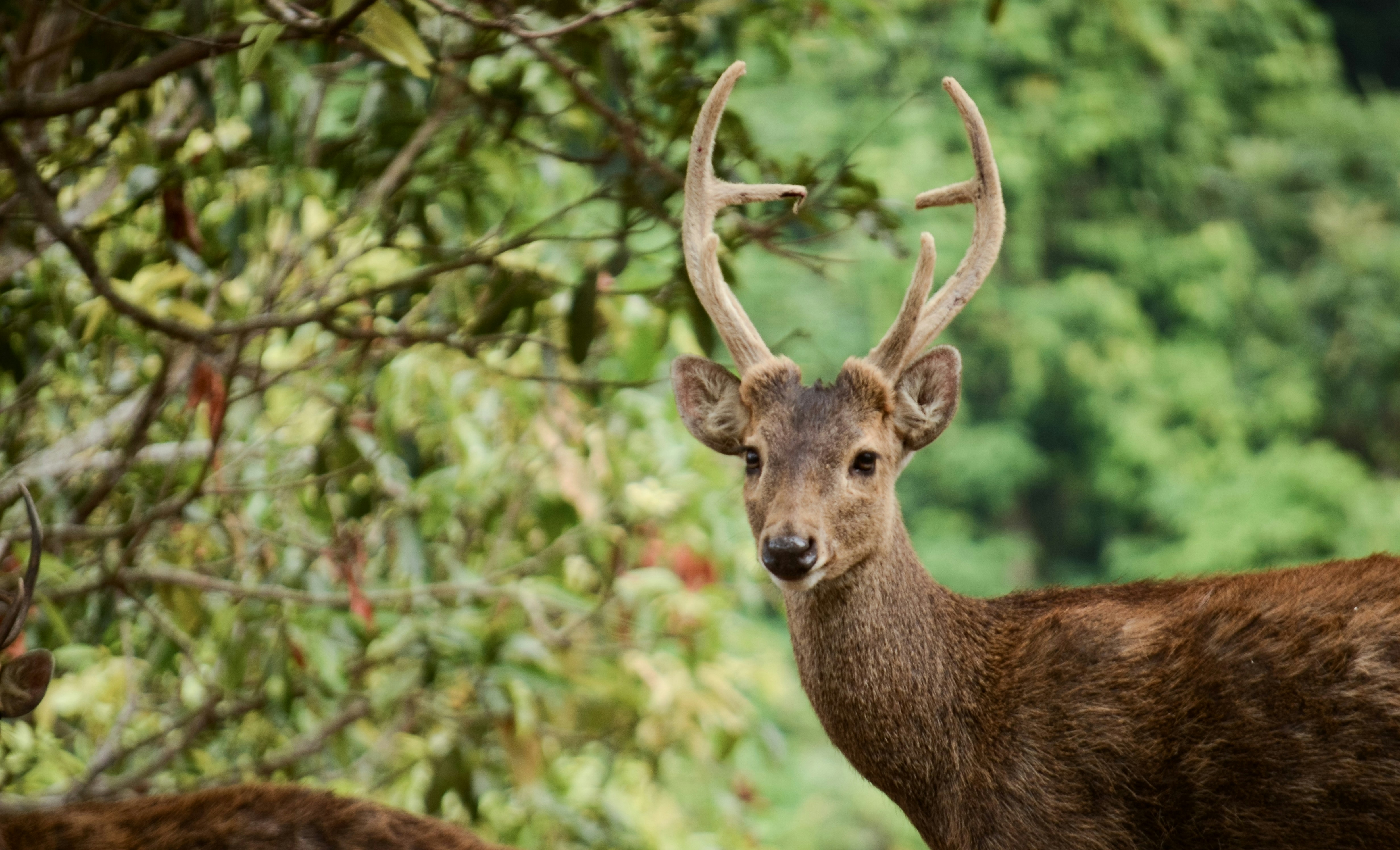 Photo by subagusindra