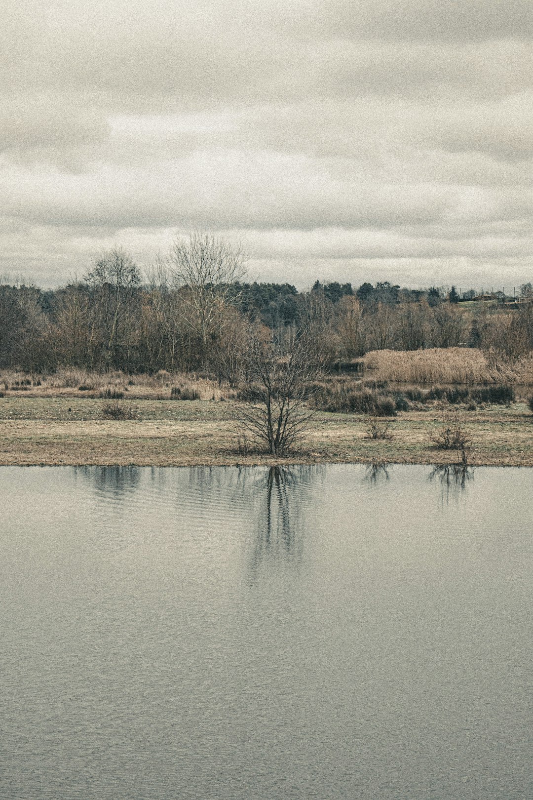 River photo spot Poitiers France