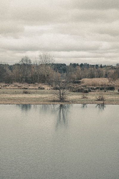 brown grass field near lake under white sky during daytime