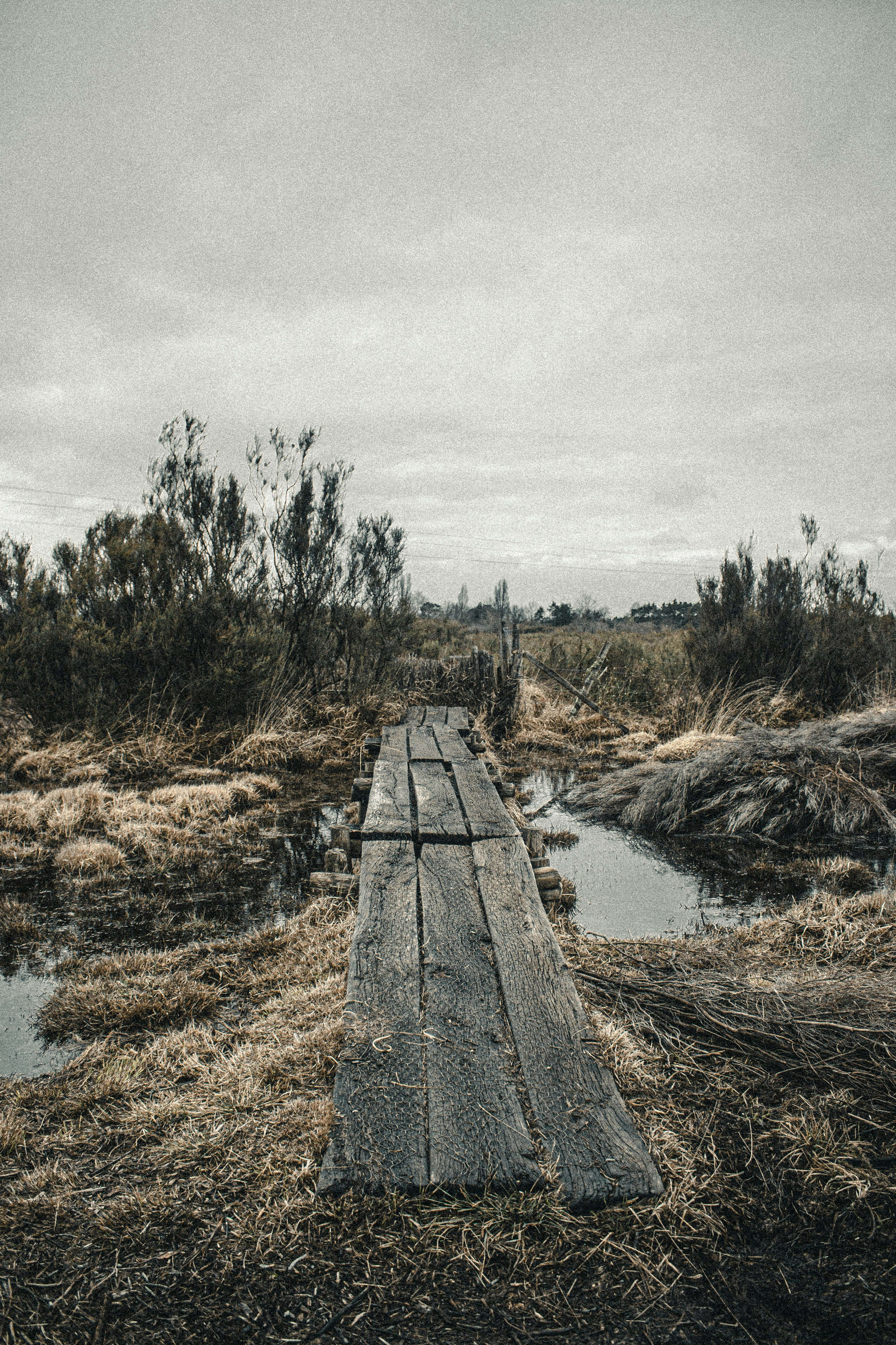dermaga kayu coklat di sungai