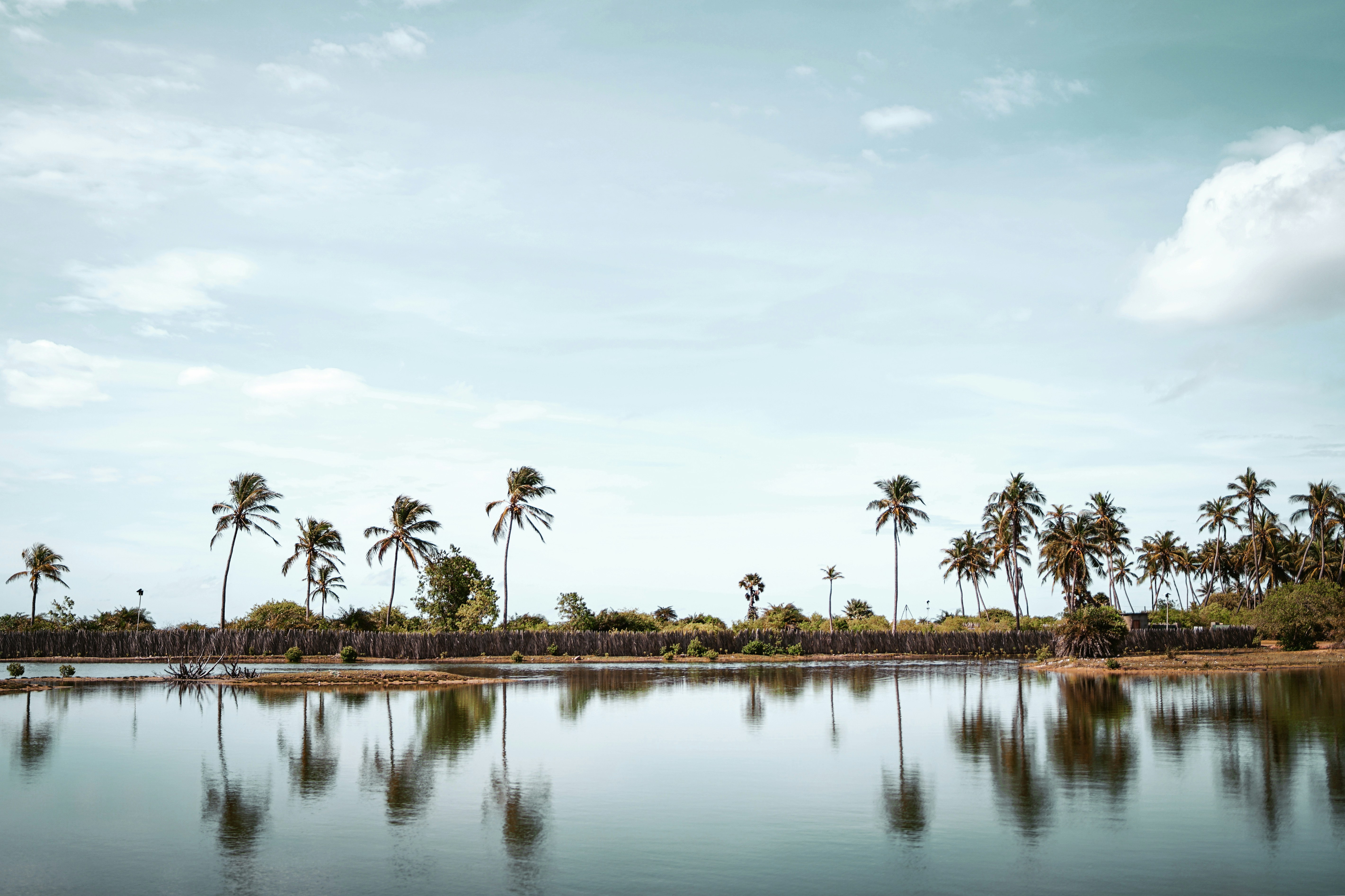 How to explore Sri Racha Wander