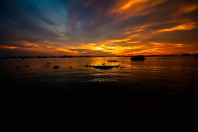 silhouette of people on beach during sunset