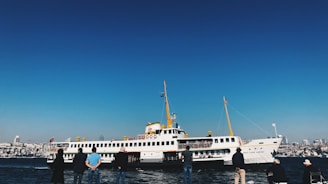 A large white passenger ferry with yellow and red accents sails across a body of water with a city skyline in the background. Several people stand on the shore, wearing jackets and casually observing the scene under a clear blue sky.