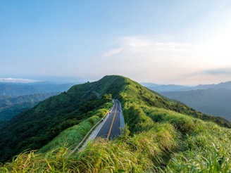 A scenic road winding through lush green landscapes under a clear sky.