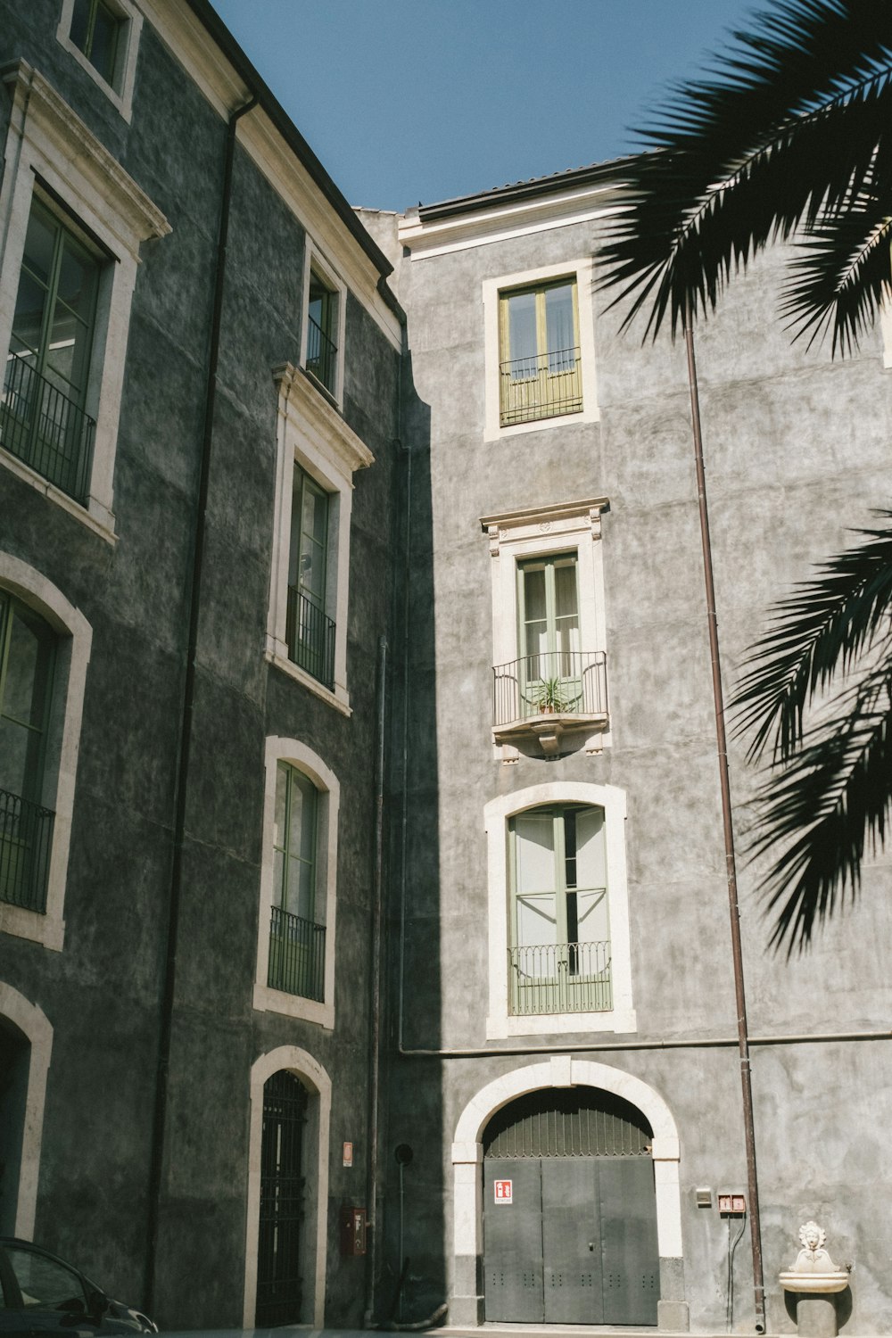 palm tree in front of beige concrete building