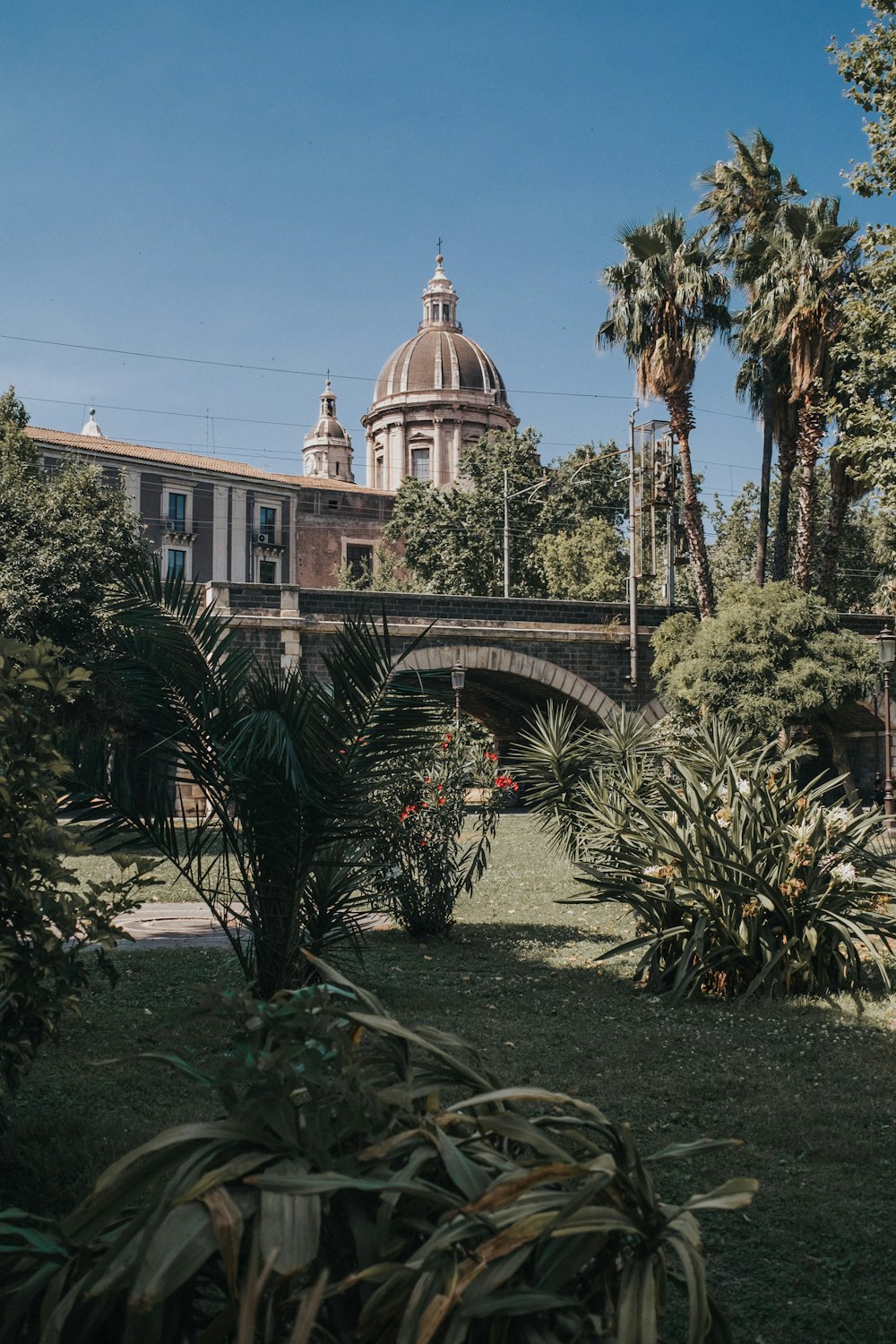 green palm trees near brown concrete building under blue sky during daytime