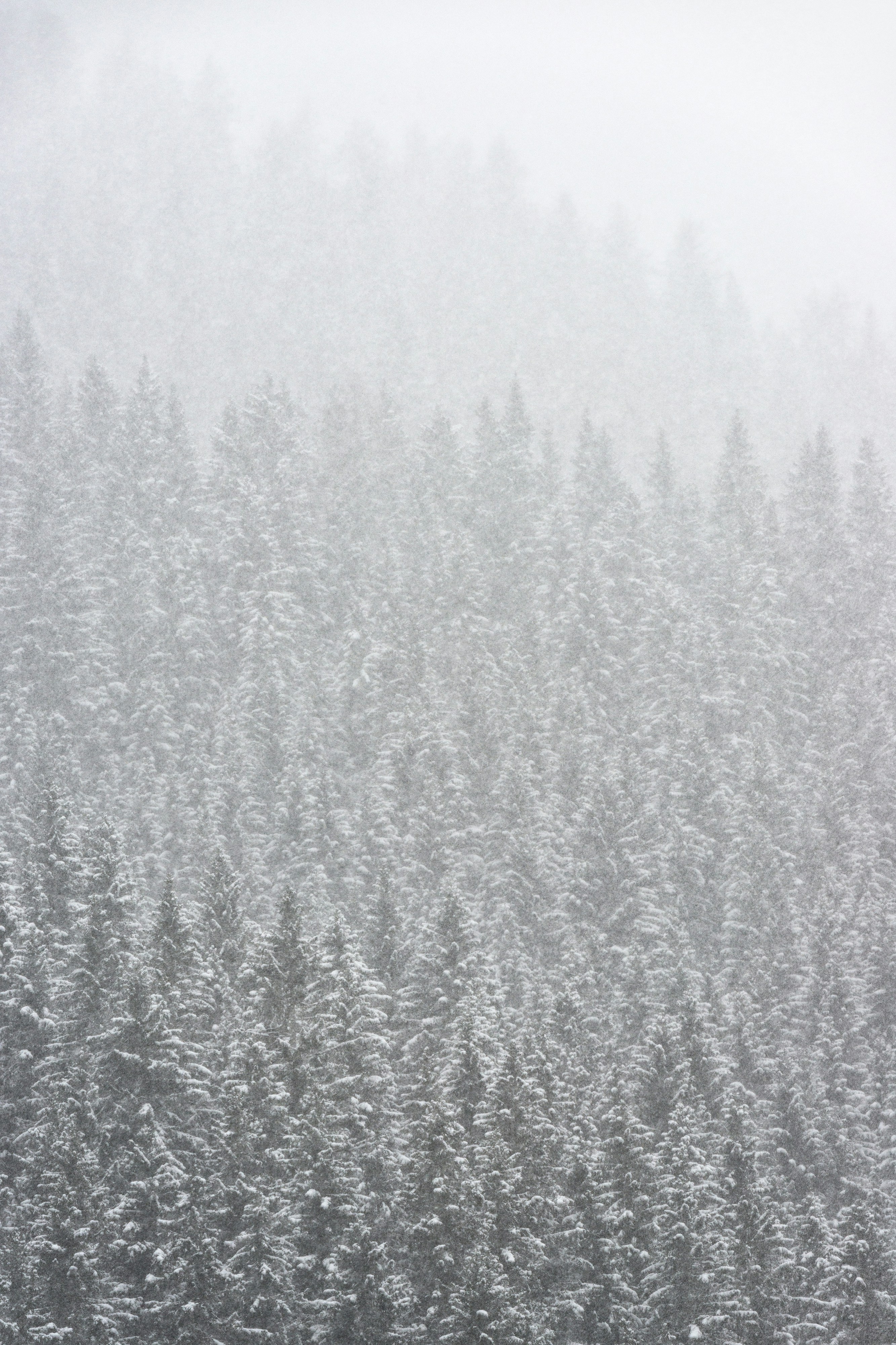 Photo by landscapeplaces