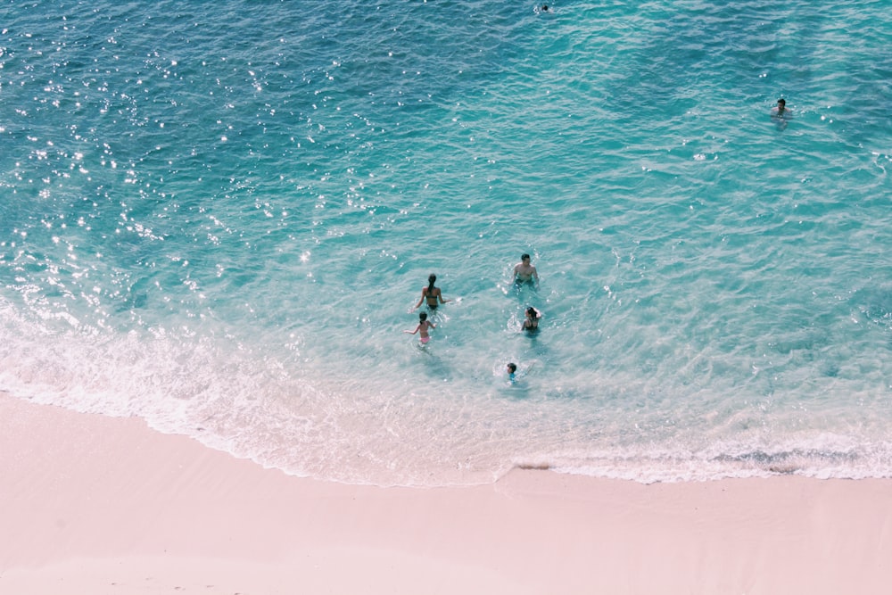 people on beach during daytime