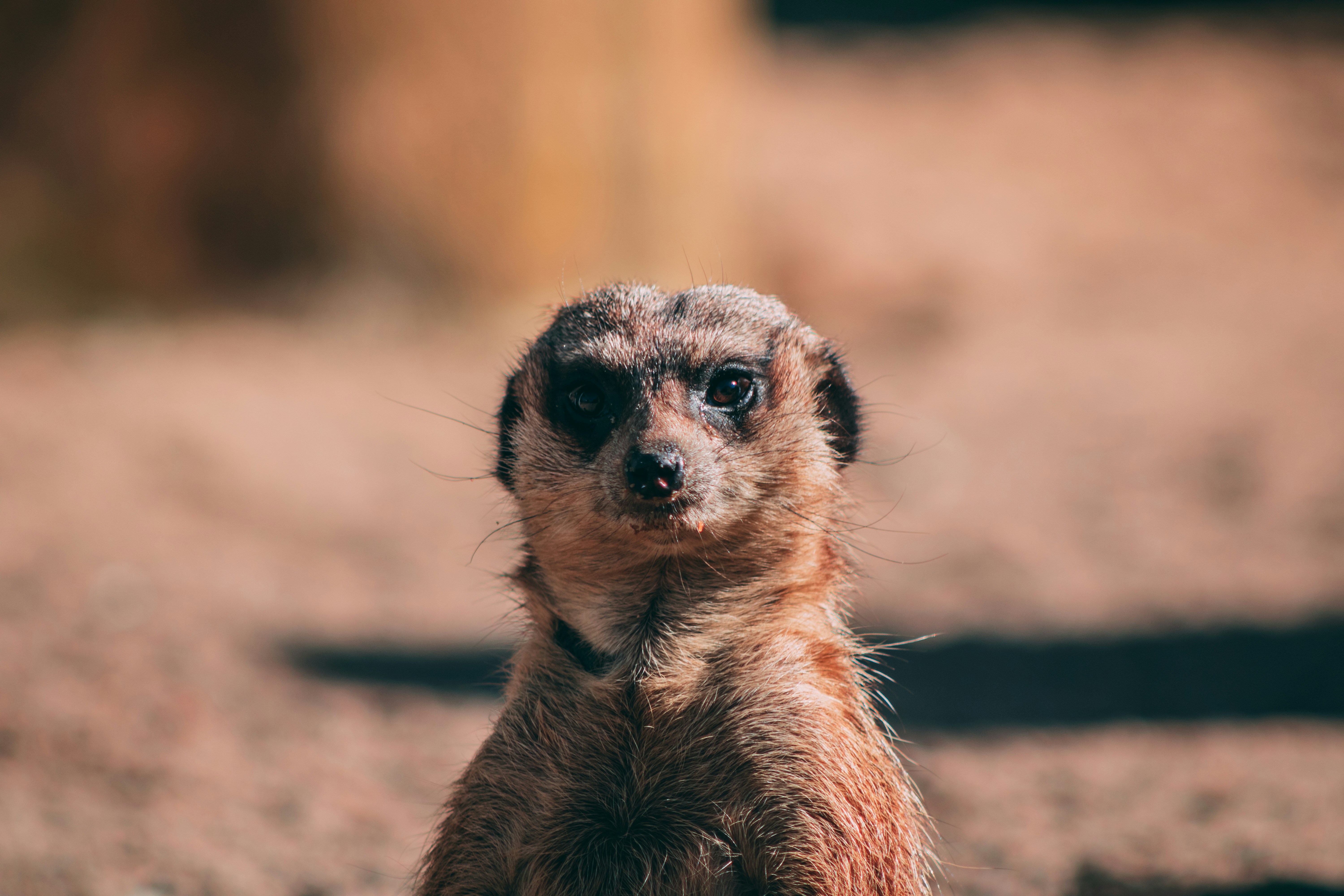 Photo by clement_roy