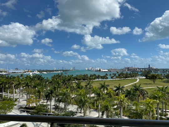 green palm trees near body of water during daytime in Phillip and Patricia Frost Museum of Science United States