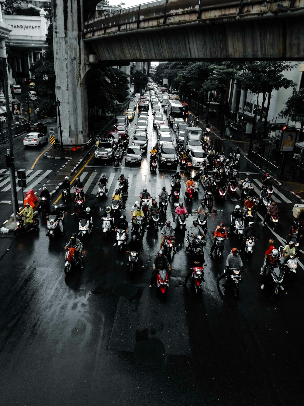 people crossing on pedestrian lane during daytime