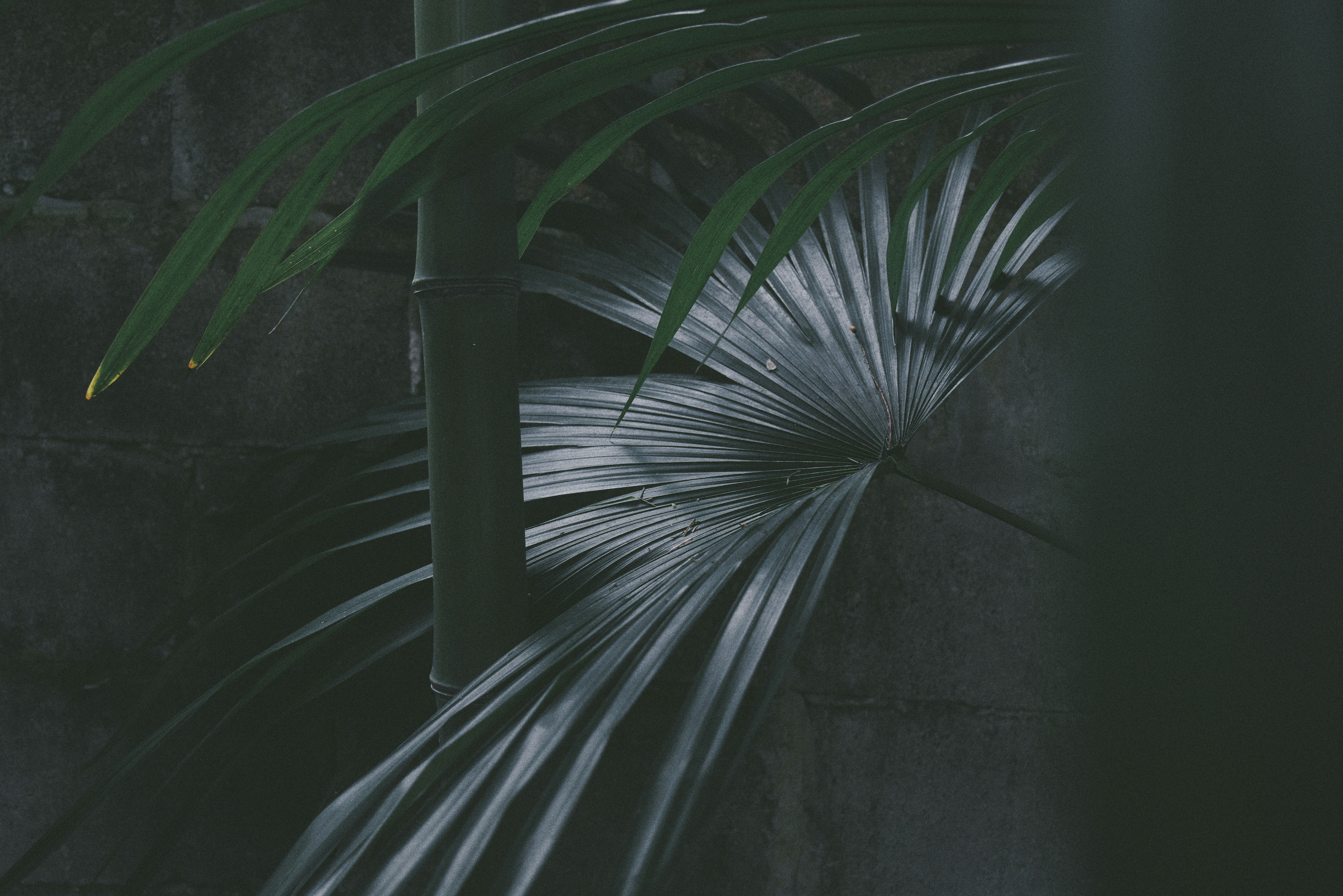 Photo by gregorio_nico