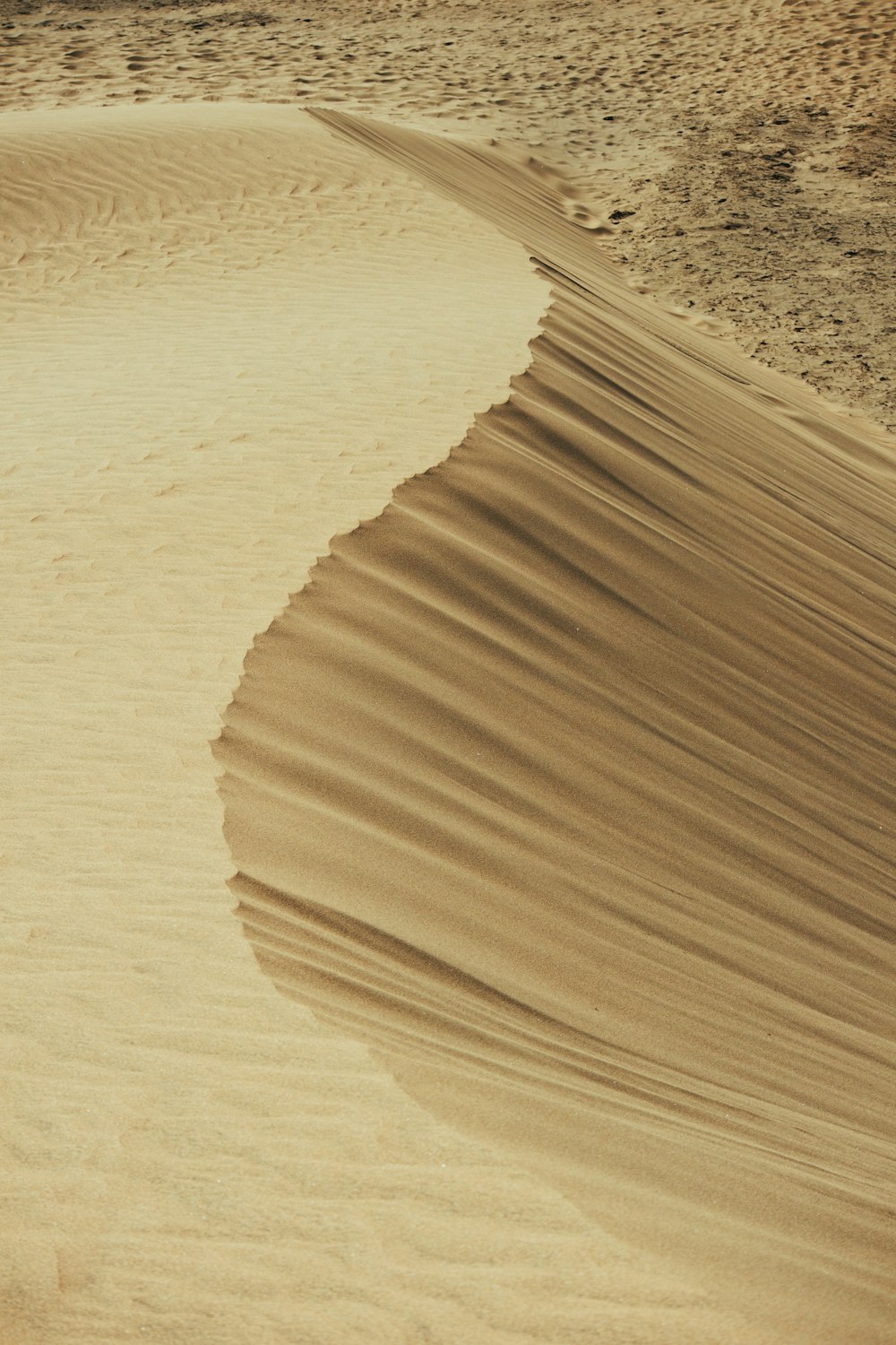 sable brun sur sable brun