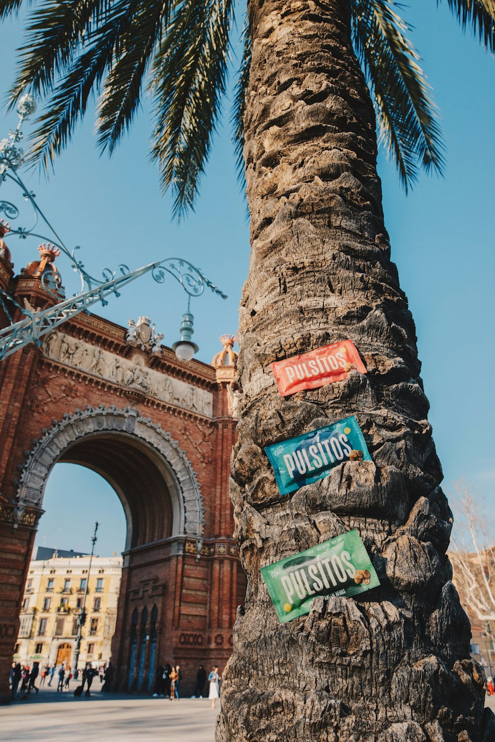 brown and blue wooden arch bridge