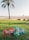 Several colorful packets of snacks labeled 'Pulsitos' are placed on lush green grass near a palm tree, with a beach and the ocean in the background. A distant building and people enjoying the beach can be seen beneath a clear blue sky.