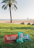 Several colorful packets of snacks labeled 'Pulsitos' are placed on lush green grass near a palm tree, with a beach and the ocean in the background. A distant building and people enjoying the beach can be seen beneath a clear blue sky.