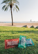 Several colorful packets of snacks labeled 'Pulsitos' are placed on lush green grass near a palm tree, with a beach and the ocean in the background. A distant building and people enjoying the beach can be seen beneath a clear blue sky.