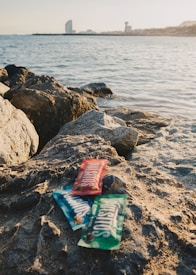 Three packets of snacks are placed on a rocky shoreline during daytime. In the background, a calm sea stretches out towards a cityscape with notable buildings visible in the distance.