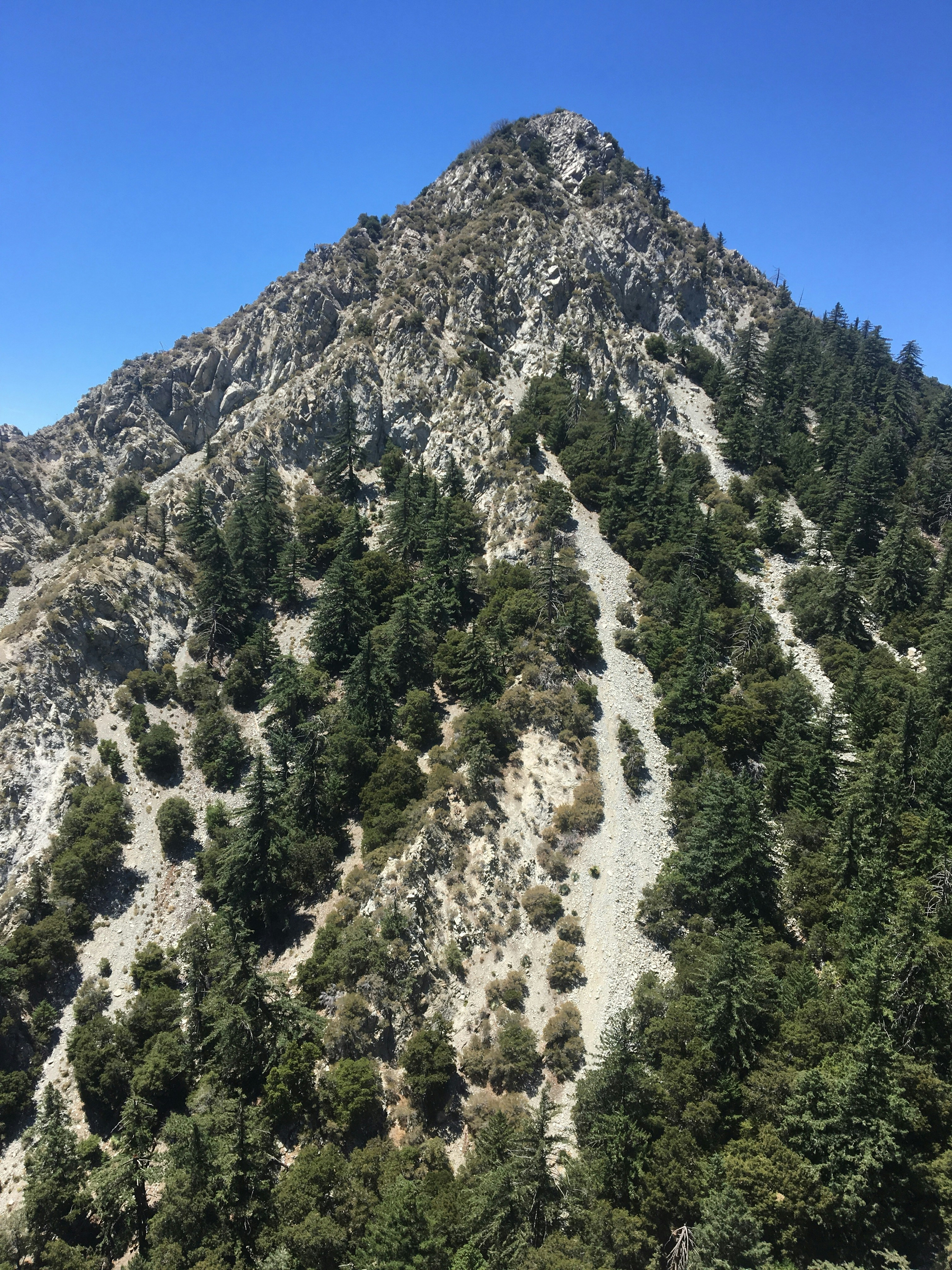 Photo by jessiecampain