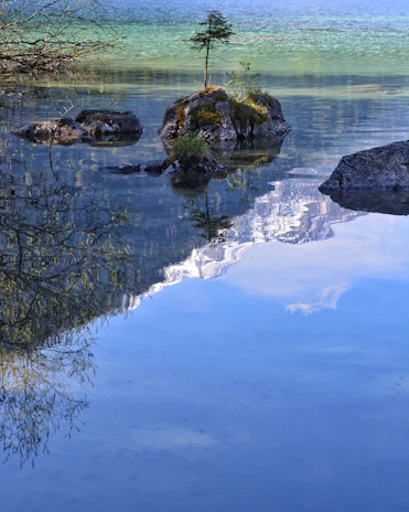 A peaceful nature scene symbolizing mental clarity and growth.