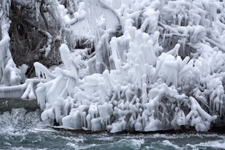 A wintry landscape with trees and branches covered in thick layers of ice, creating intricate and delicate formations. The icy structures are juxtaposed against a flowing body of water at the base, indicating a recent freeze. The scene conveys a sense of nature's beauty and the harshness of cold weather.