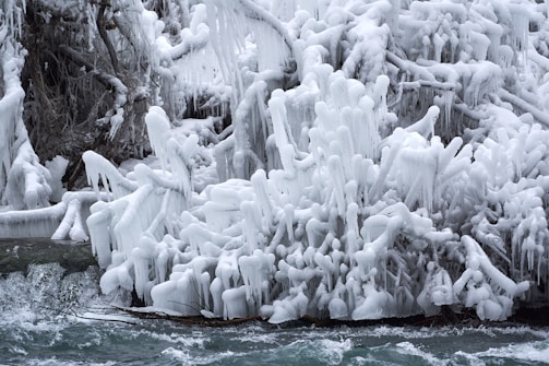 A wintry landscape with trees and branches covered in thick layers of ice, creating intricate and delicate formations. The icy structures are juxtaposed against a flowing body of water at the base, indicating a recent freeze. The scene conveys a sense of nature's beauty and the harshness of cold weather.
