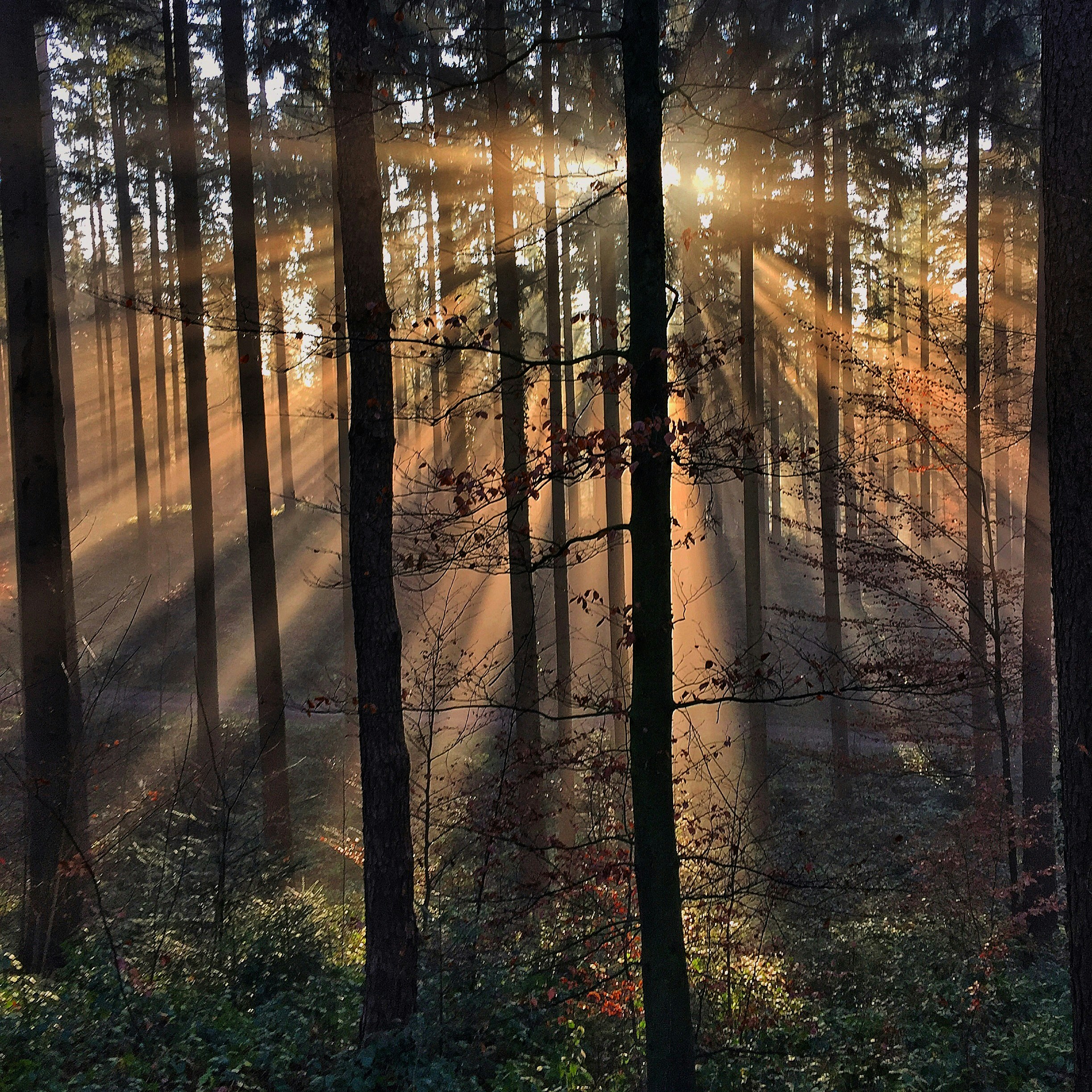 Photo by pedrino5_official